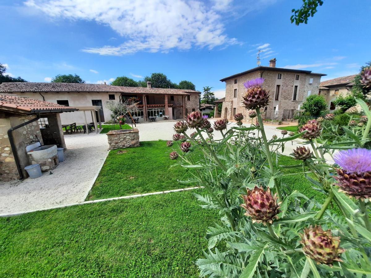 Corte Davini Agriturismo 몬잠바노 외부 사진