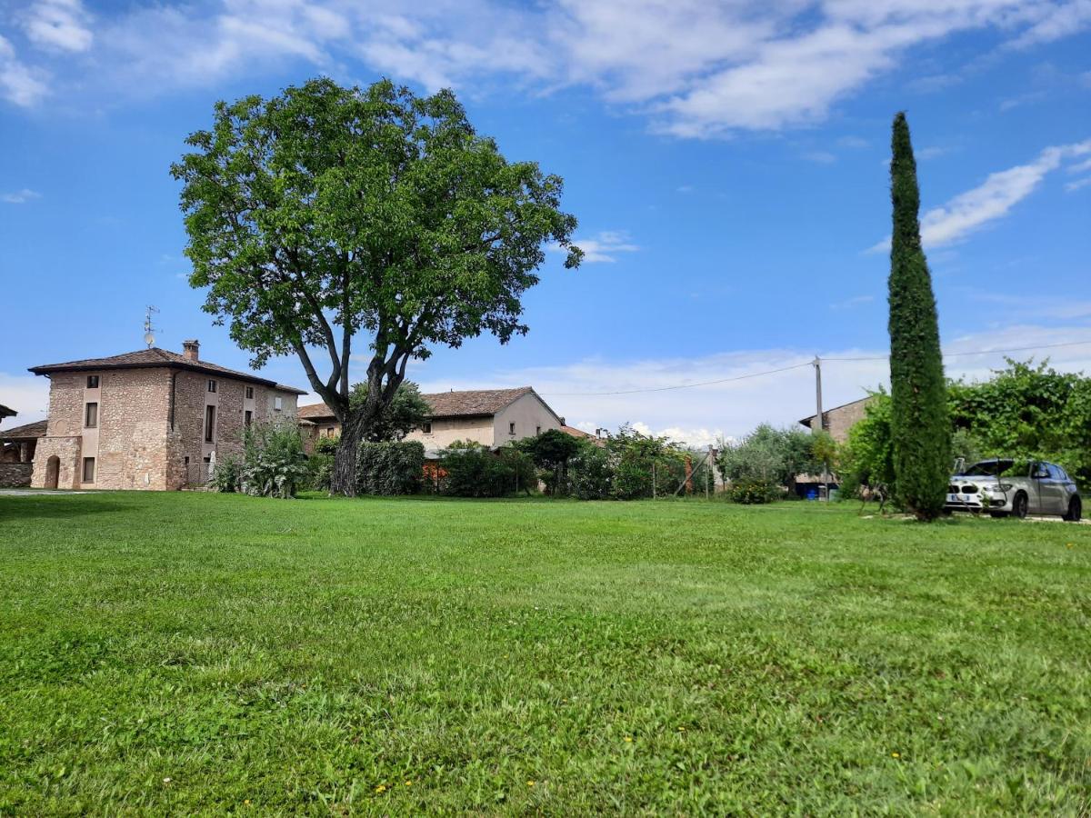 Corte Davini Agriturismo 몬잠바노 외부 사진