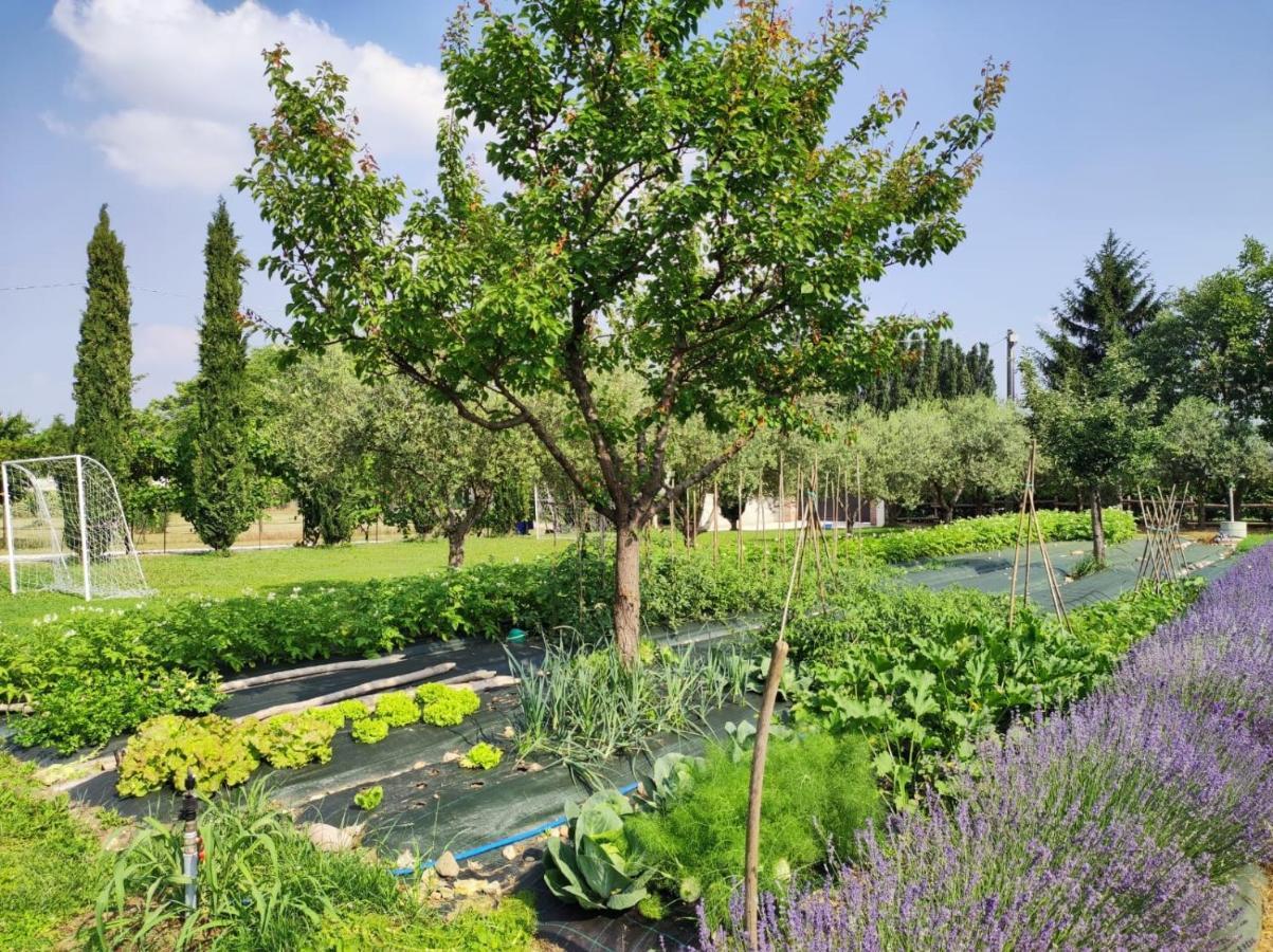 Corte Davini Agriturismo 몬잠바노 외부 사진