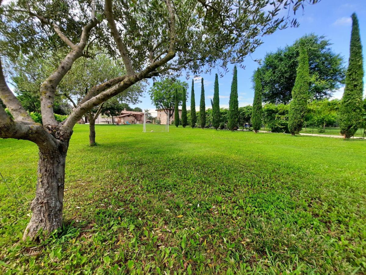 Corte Davini Agriturismo 몬잠바노 외부 사진