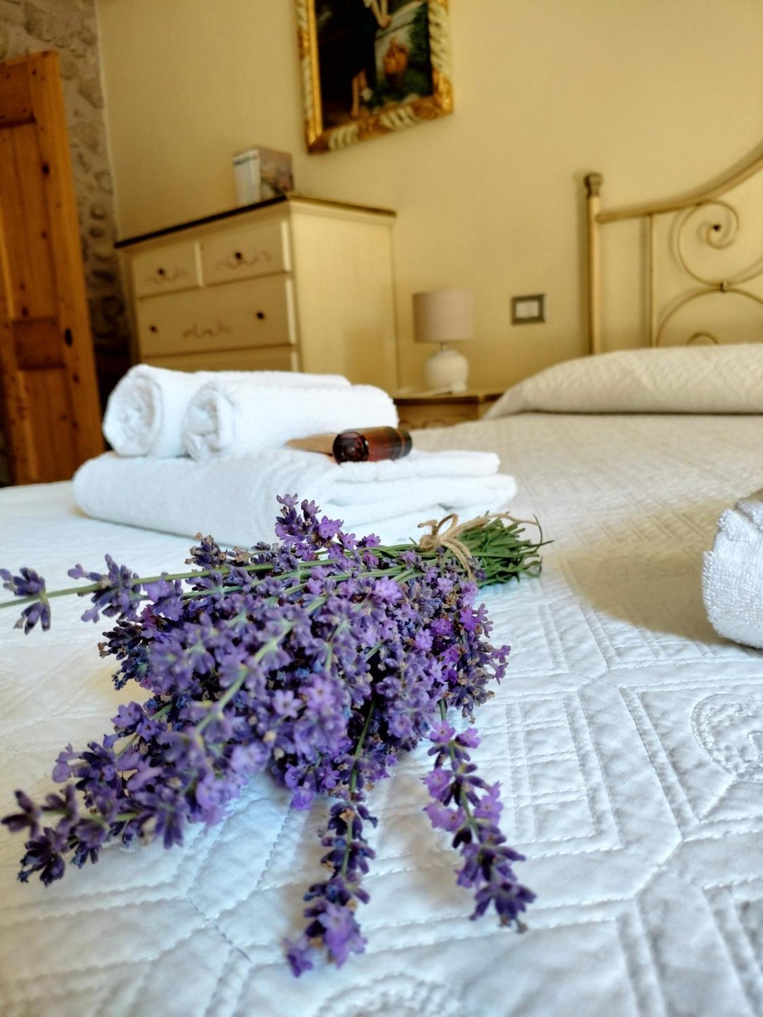Corte Davini Agriturismo 몬잠바노 외부 사진