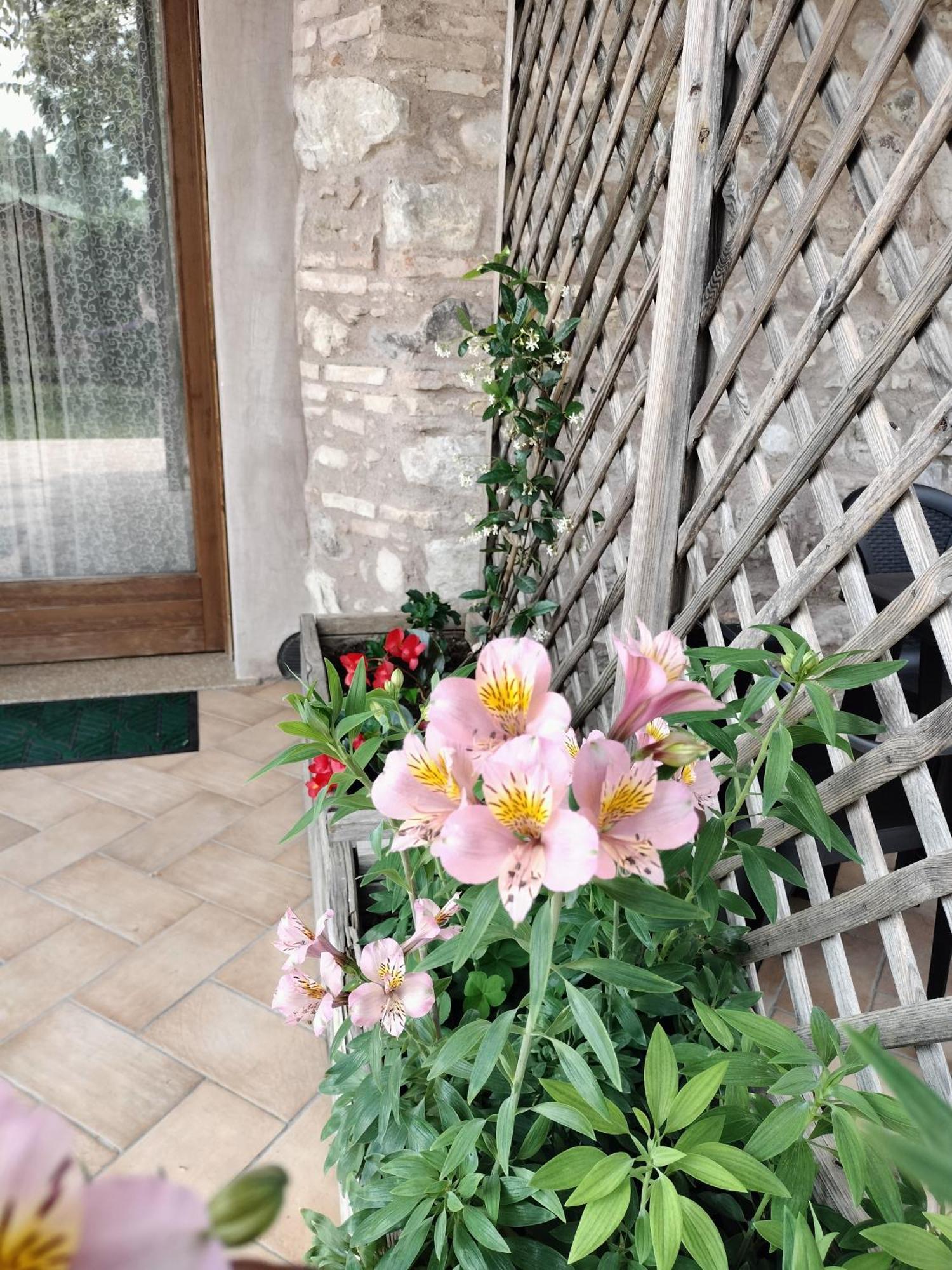 Corte Davini Agriturismo 몬잠바노 외부 사진