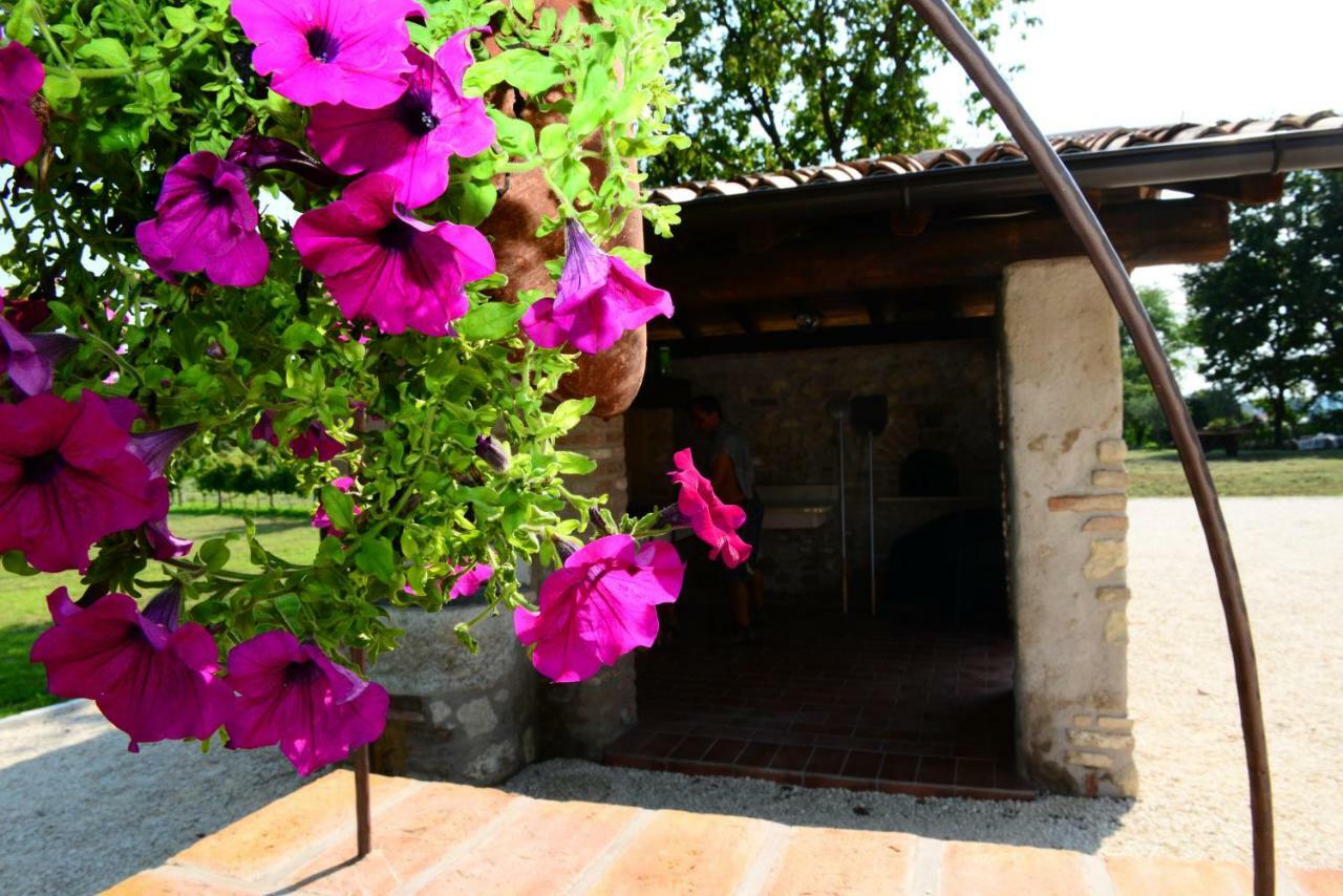 Corte Davini Agriturismo 몬잠바노 외부 사진