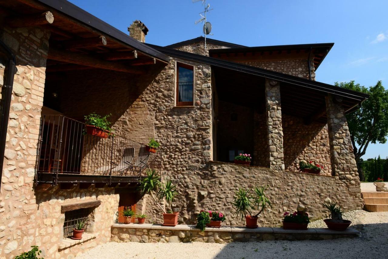 Corte Davini Agriturismo 몬잠바노 외부 사진